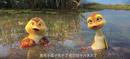 鸭子国产视频,鸭子的趣味生活大揭秘